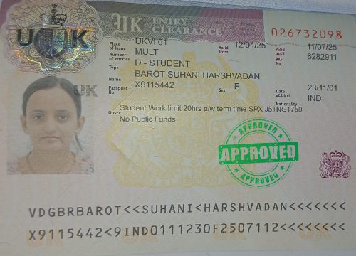 Fly To Study Abroad (18)