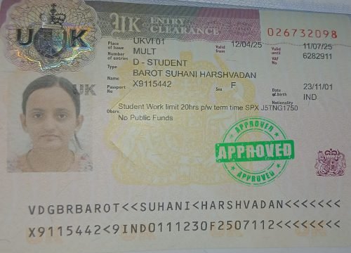 Fly To Study Abroad (18)