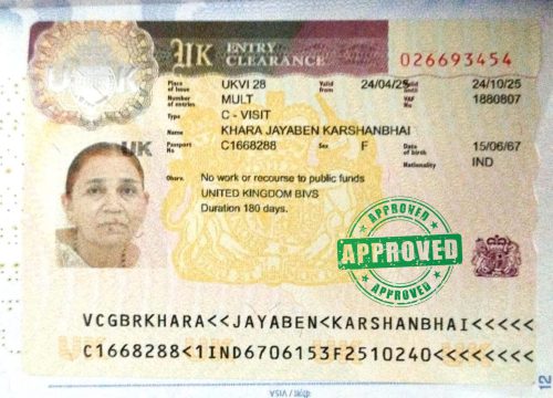 Fly To Study Abroad (20)