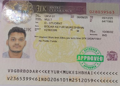 Fly To Study Abroad (25)