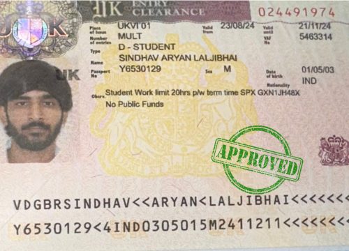 Fly To Study Abroad (35)