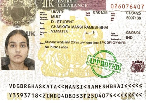 Fly To Study Abroad (4)